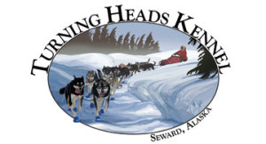The Hardest Part Of Competitively Racing Sled Dogs 8 turning heads kennel in seward, alaska offers incredible dog sled tours