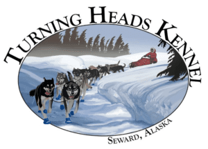 Our Story: Why We Love Offering Dog Sled Tours 2 Turning Heads Kennel loves giving dog sled tours