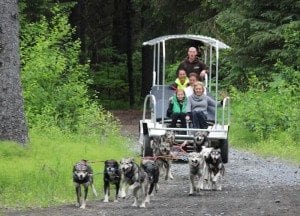 Sled Dog Care: Part 2 2 Our summer dog sled rides are on soft dirt which does not require the use of booties. In the fall when our trails start freezing, we have to booty the dogs feet.