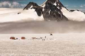 Glacier Dog Sledding Tours