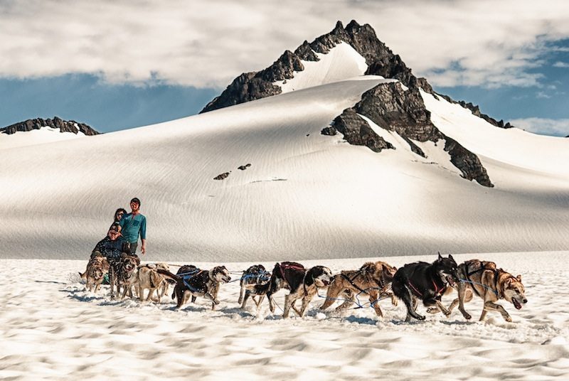 Glacier Dog Sledding in Seward Alaska | Tours on Godwin Glacier