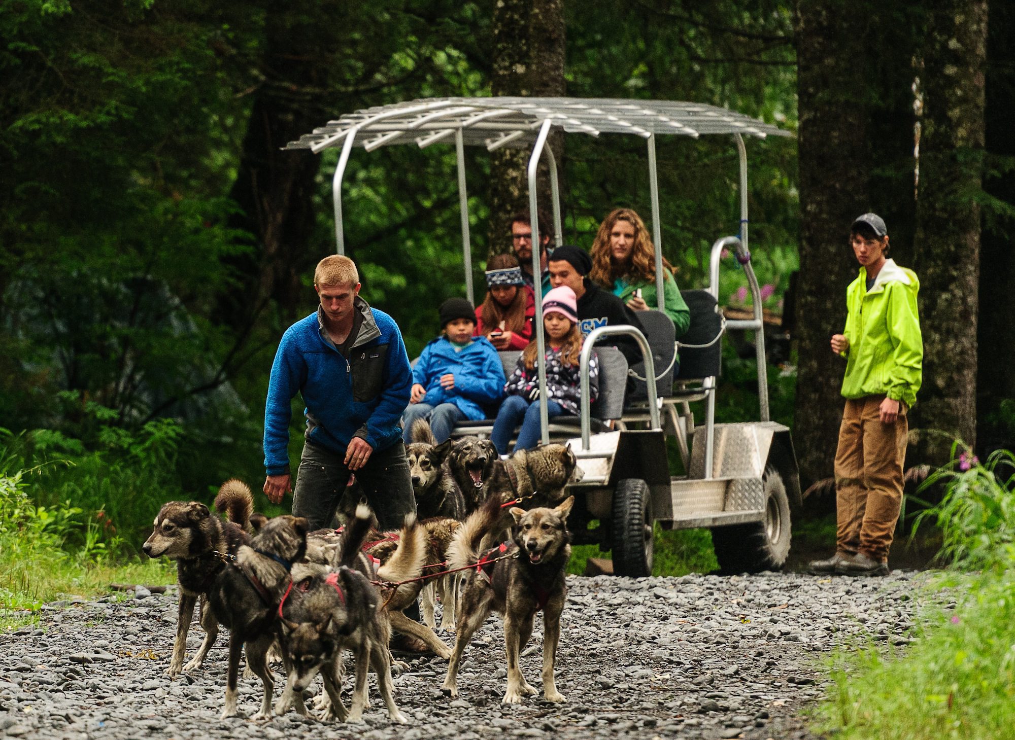 Dog Sled Tours are an important part of Iditarod Training