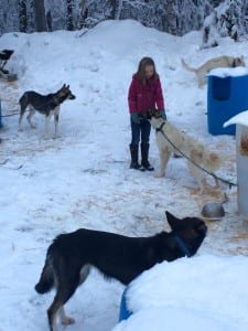 Ashley-visiting-wade-marrs-kennel