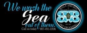 bully-and-bug-dog-grooming-seward-alaska