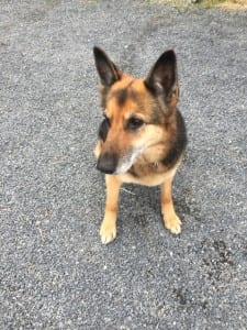 Betty after being groomed