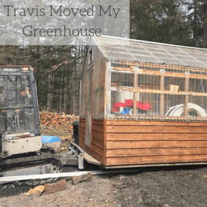 travis-beals-seward-alaska-heavy-equipment