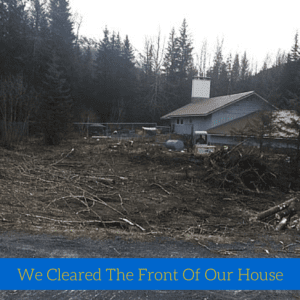 turning-heads-kennel-revamp