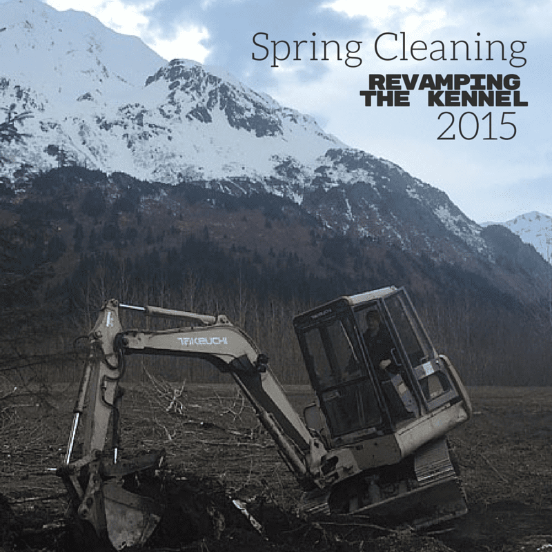 Turning Heads Kennel in Seward, Alaska did some major spring cleaning.