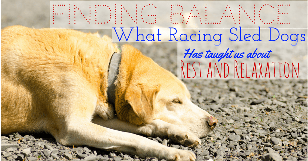 Finding Balance: What Racing Sled Dogs Has Taught Us About Rest and Relaxation
