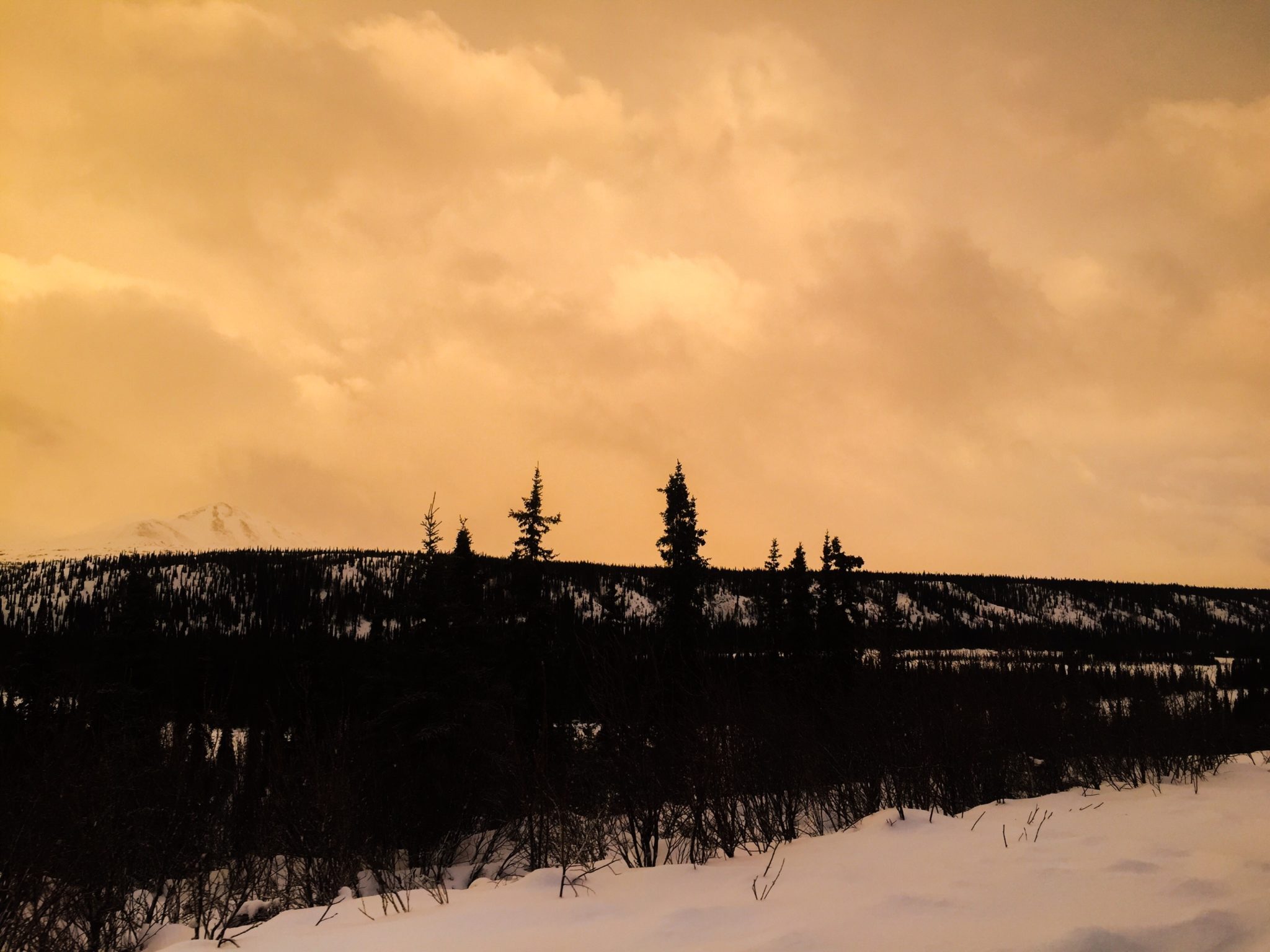 The sky was so yellow.