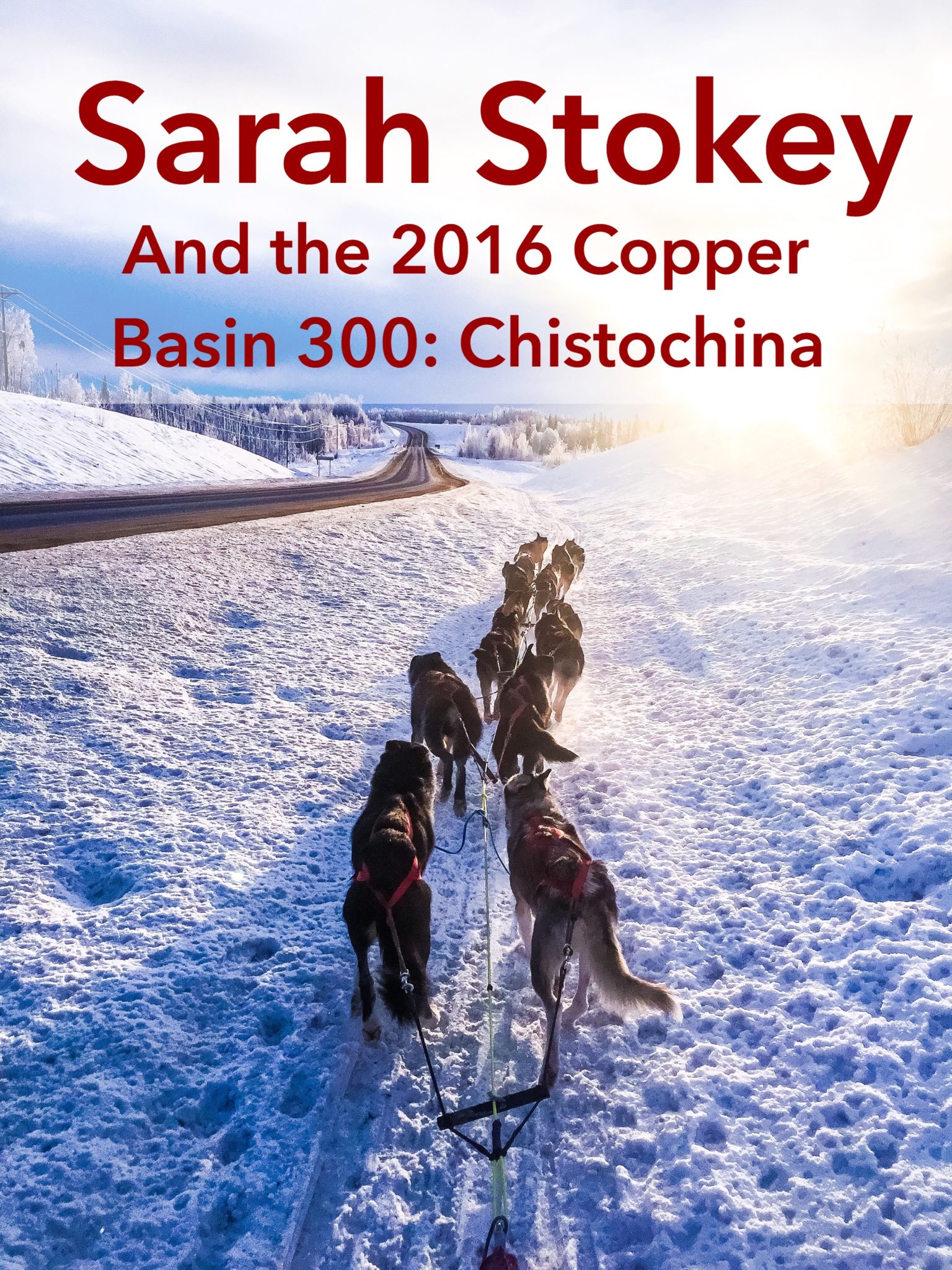 Sarah Stokey and the 2016 Copper Basin: Chistochina | Turning Heads Kennel