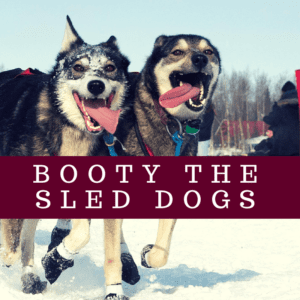 How Mushers Get Home After Finishing The Iditarod | Turning Heads How Mushers Get Home After Finishing The Iditarod | Turning Heads