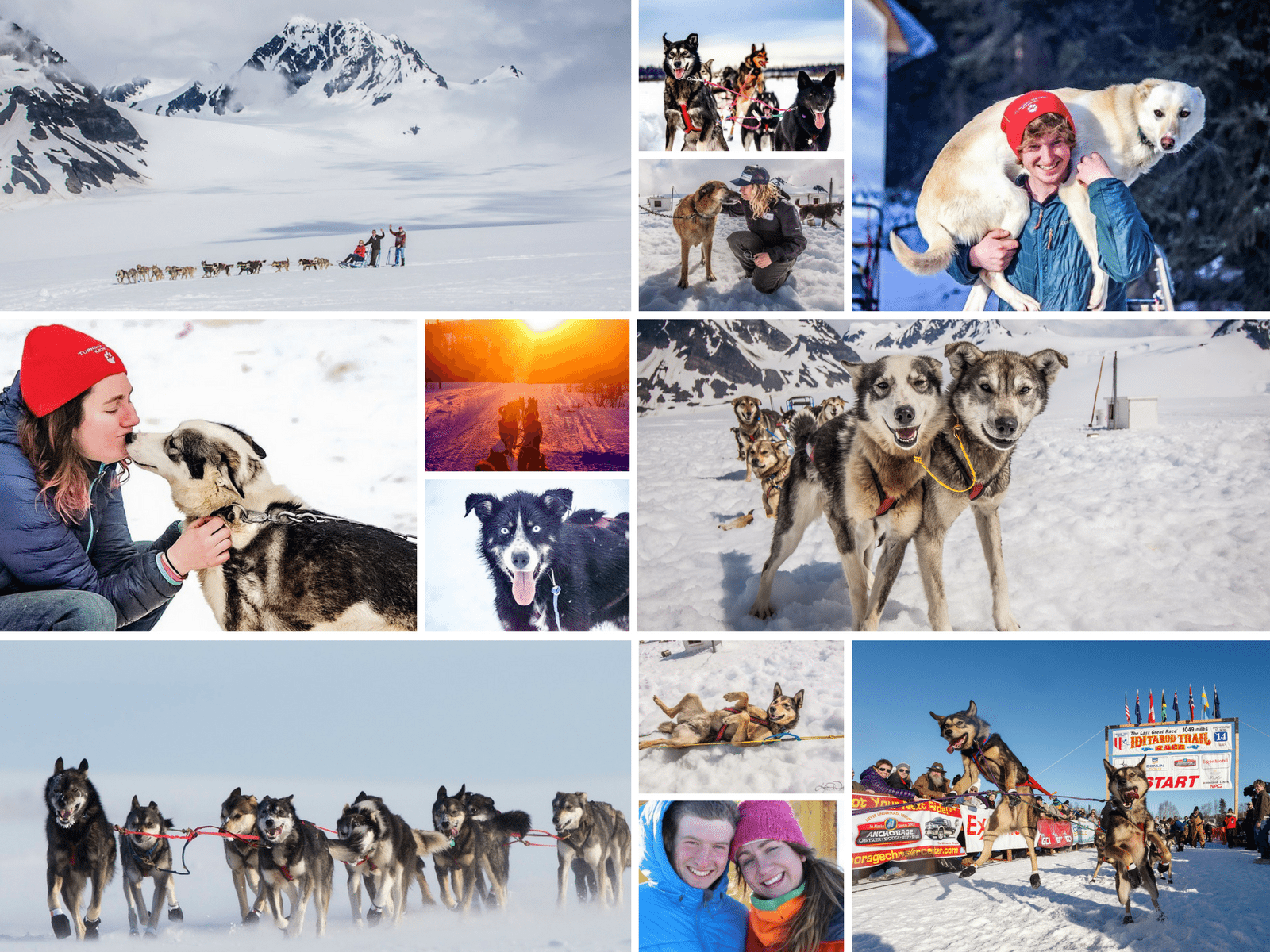 Our Mushing Philosophy 1 best alaska dogsledding tours turning heads kennel seward alaska
