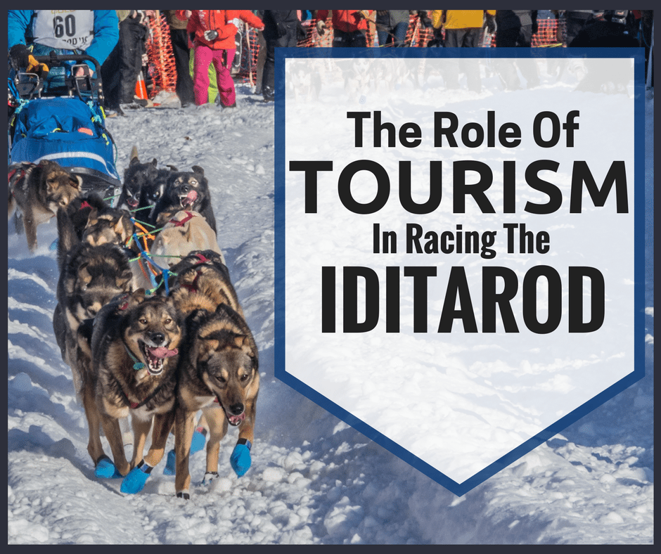 The role of Alaska Tourism in Racing the Iditarod