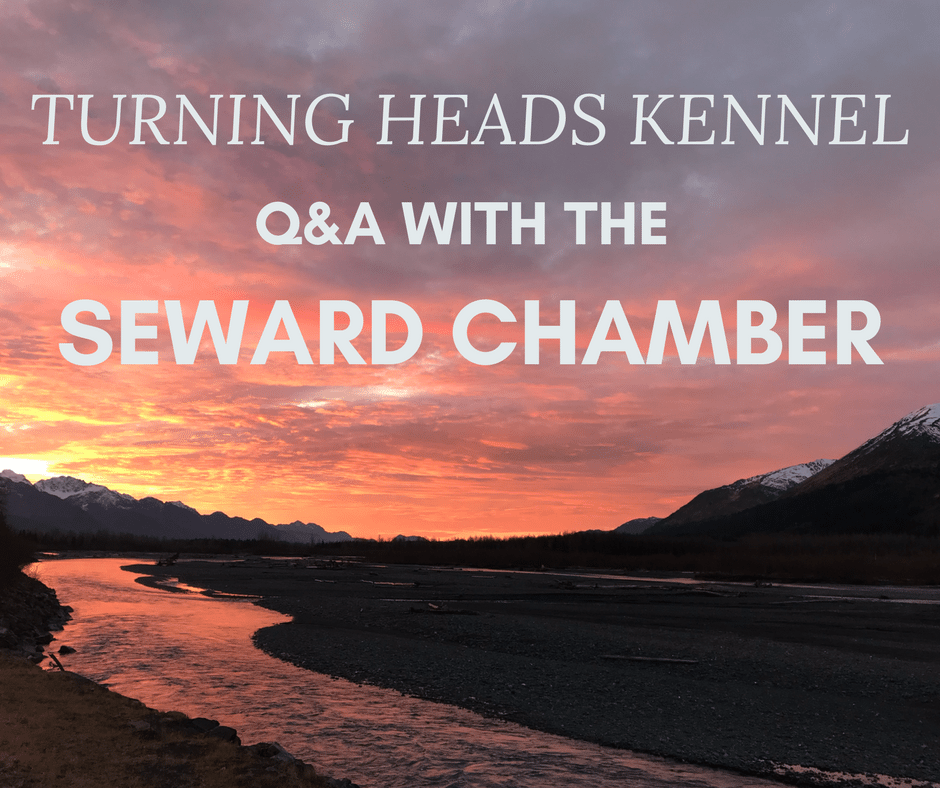 Turning Heads Kennel is Featured by The Seward Chamber! | Turning 