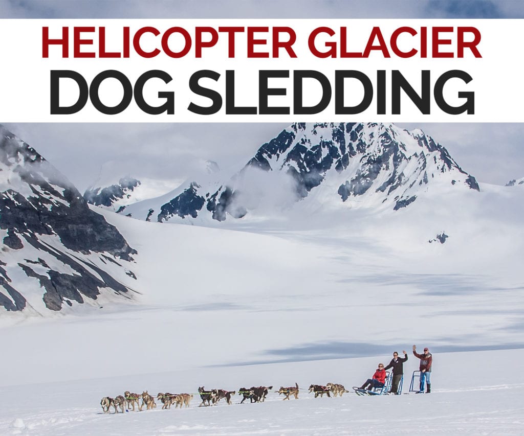 glacier dog sled tour