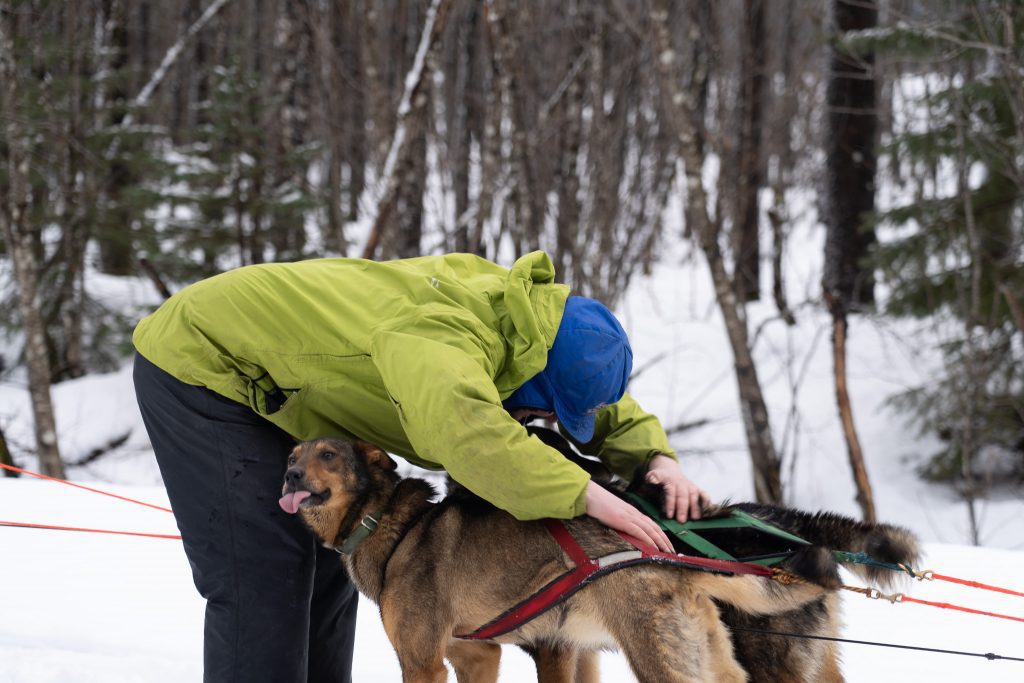 Our Mushing Philosophy 3 Travis Beals lovingly tending to his sled dog, showcasing the deep bond at Turning Heads Kennel.