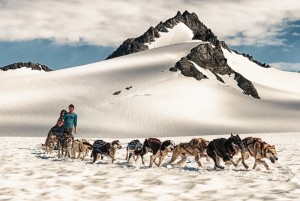 Summertime dog sledding conditions are simply the best!